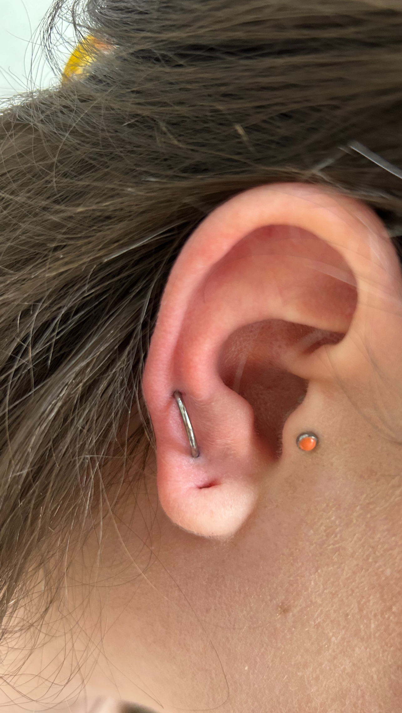 Orbital Lobe — lobe piercing